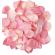 Diablo Picante - 100 Pink Petals