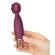 Pillow Talk Secrets Passion Mini Hieromasauva