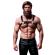 Fetish Submissive Attitude - Bulldog Chest Harness Eco Leather Men Size M/L