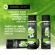 Bruma™ - Premium Massage Hot Oil Watermelon 3 In 1
