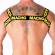 Macho - Double Harness Yellow