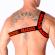 Macho - Roman Harness Punainen
