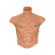 Hidden Desire - Alter Ego Silicone Male Torso Shirt With Abs Flesh