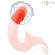 Intense - Paulina Vibrator and Stimulator In U Shape Red
