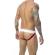 Mob - Classic Jock Stripe Rainbow Size M