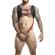 Mob - Dngeon Harness With Red Penis Ring One Size