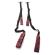 Calexotics - Scandal Universal Door Harness