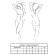 Passion - Tivolea Rintaliivit + Stringit Setti Violet L/XL