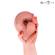 Mr Intense - Medium Spencer Silikoni Dildo 23 CM - Ø- 5.7 CM