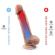 Silexd - Model 1 Real Skin Super Lämpöreaktiivinen Realistinen Penis Premium Silexpan 22,8 CM