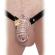 Fetish Fantasy Extreme Chastity Belt