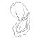 Romp - Rose Glow Clitoral Suction Tool Glow In The Dark