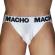 Macho - MX29BL Jock White + White L