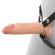 Fantasy X-Tensions Elite - 15.2 CM Hollow Silicone Strap-On