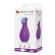 Pretty Love - Magic Bottle Rechargeable Clitoral Suction Stimulator Purple