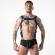 Locker Gear - Full Military Access Harness Blue