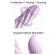 Fantasy For Her - Fantasy Twist Vibrator Twistmotion With Rotation and Pushing Purple