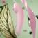 Womanizer - Premium Eco Suction Clitoral Stimulator 12 Intensity Levels Rose