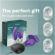 We-Vibe - Chorus Pro Premium Parivibraattori Cosmic Purple