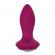 Power Gem Butt Plug Vibrating Crystal Probe PETITE