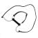 Leather Horse Bit Gag and Reins